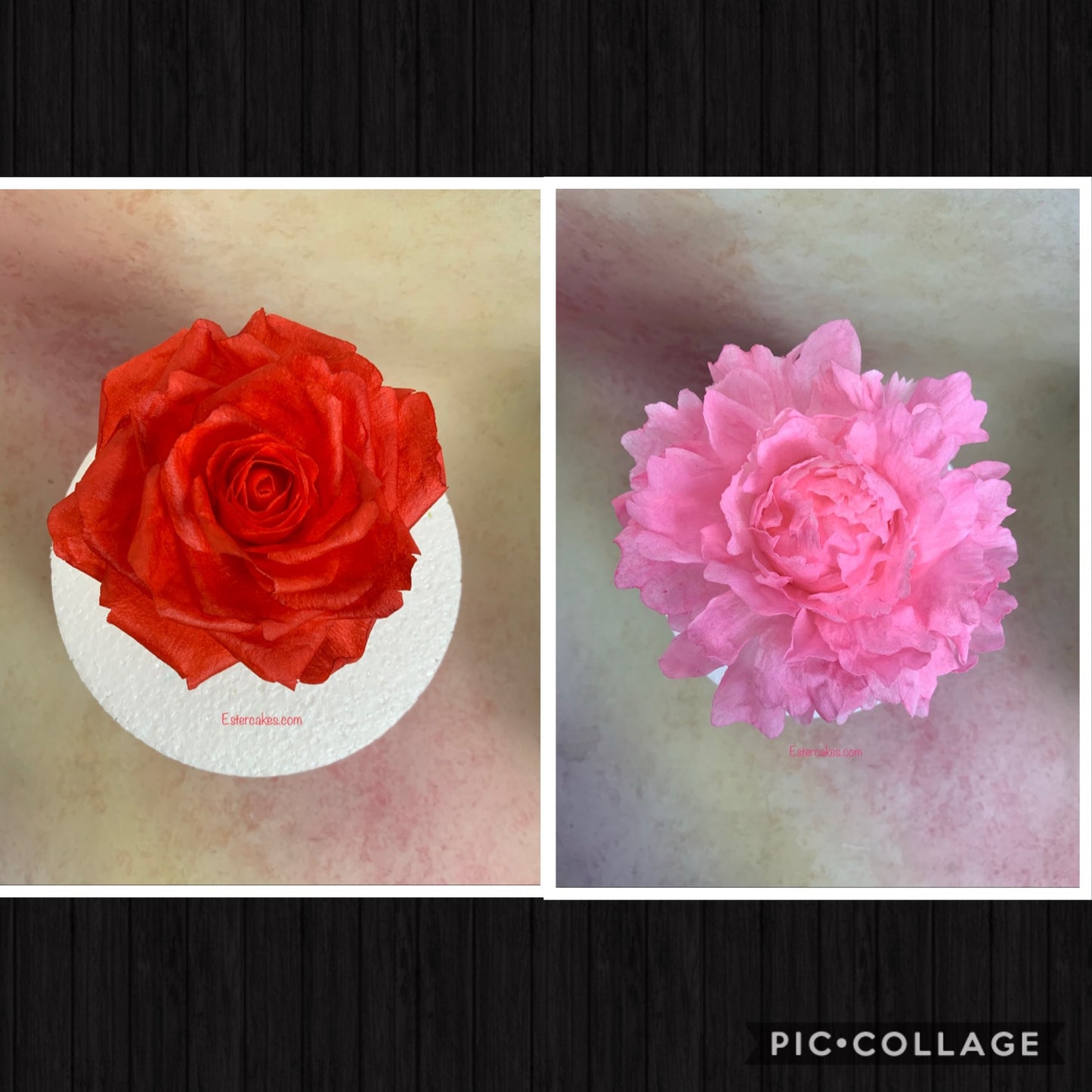 Recorded Online Wafer Paper Flower Class