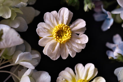 2-Days Advanced Non-Dairy Piping Class with Thai Thinh (Floral Prince from Vietnam)